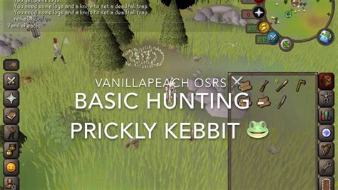 kebbity tuft|Prickly Kebbit OSRS Beginner Hunting Guide .